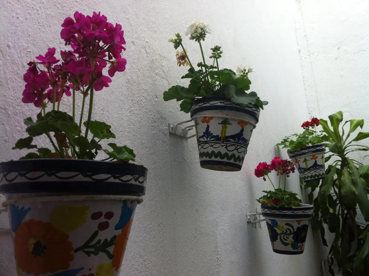 Hostal Berlin Marbella 0*,
